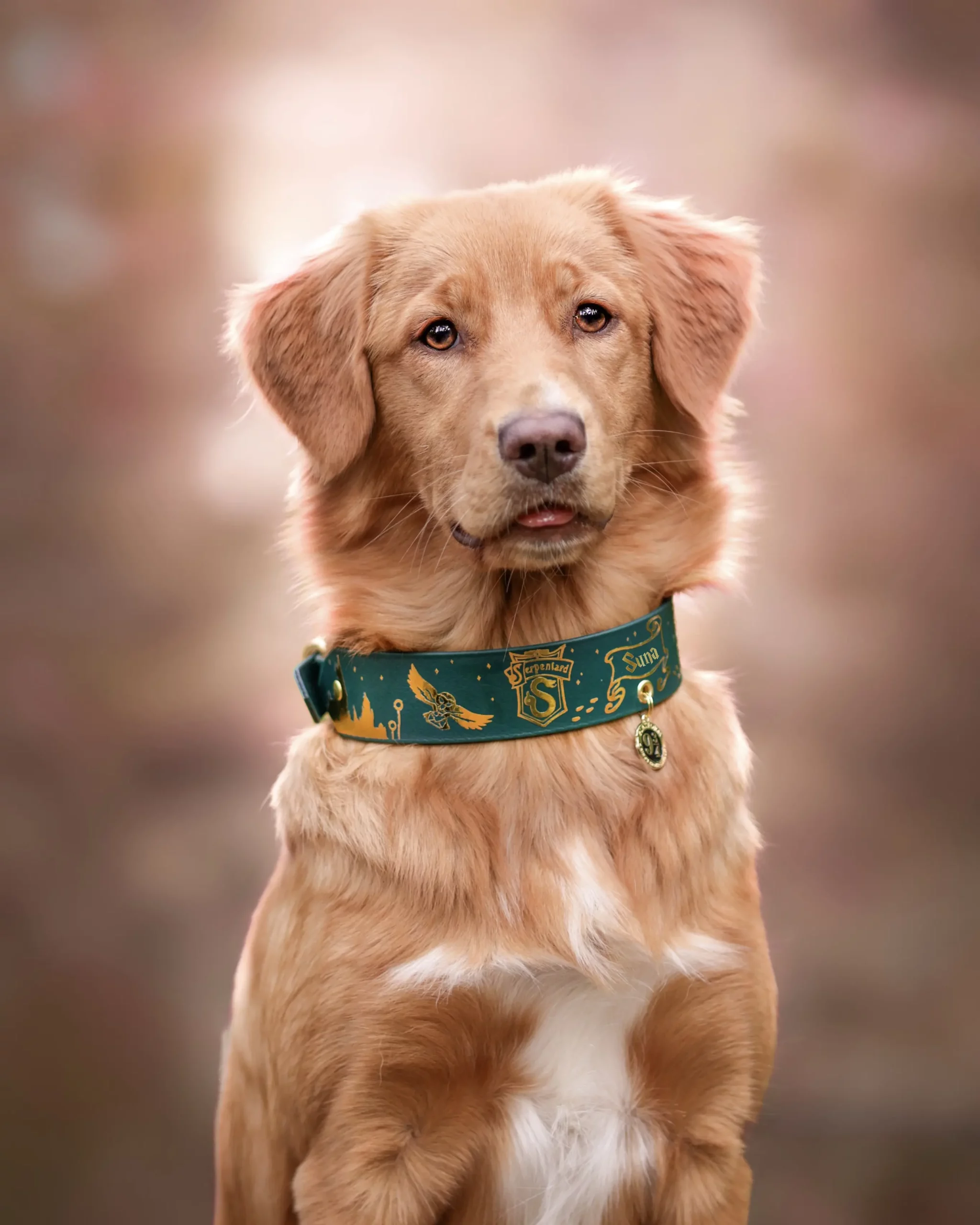 Collier 38mm BioThane® – Harry Potter (Serpentard) Collier 38mm BioThane® - Harry Potter (Serpentard) – Image 4