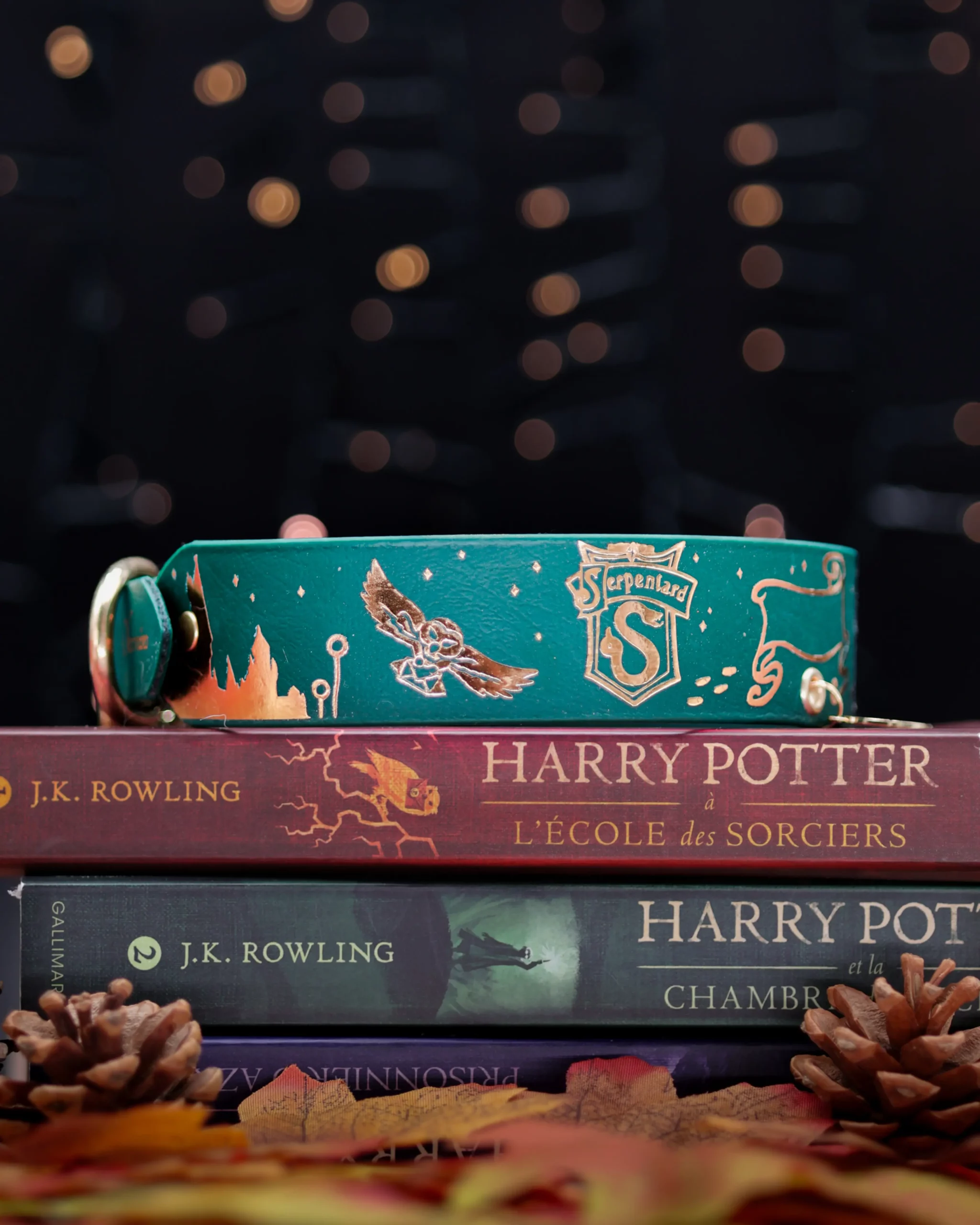 Collier 38mm BioThane® – Harry Potter (Serpentard) Collier 38mm BioThane® - Harry Potter (Serpentard) – Image 3