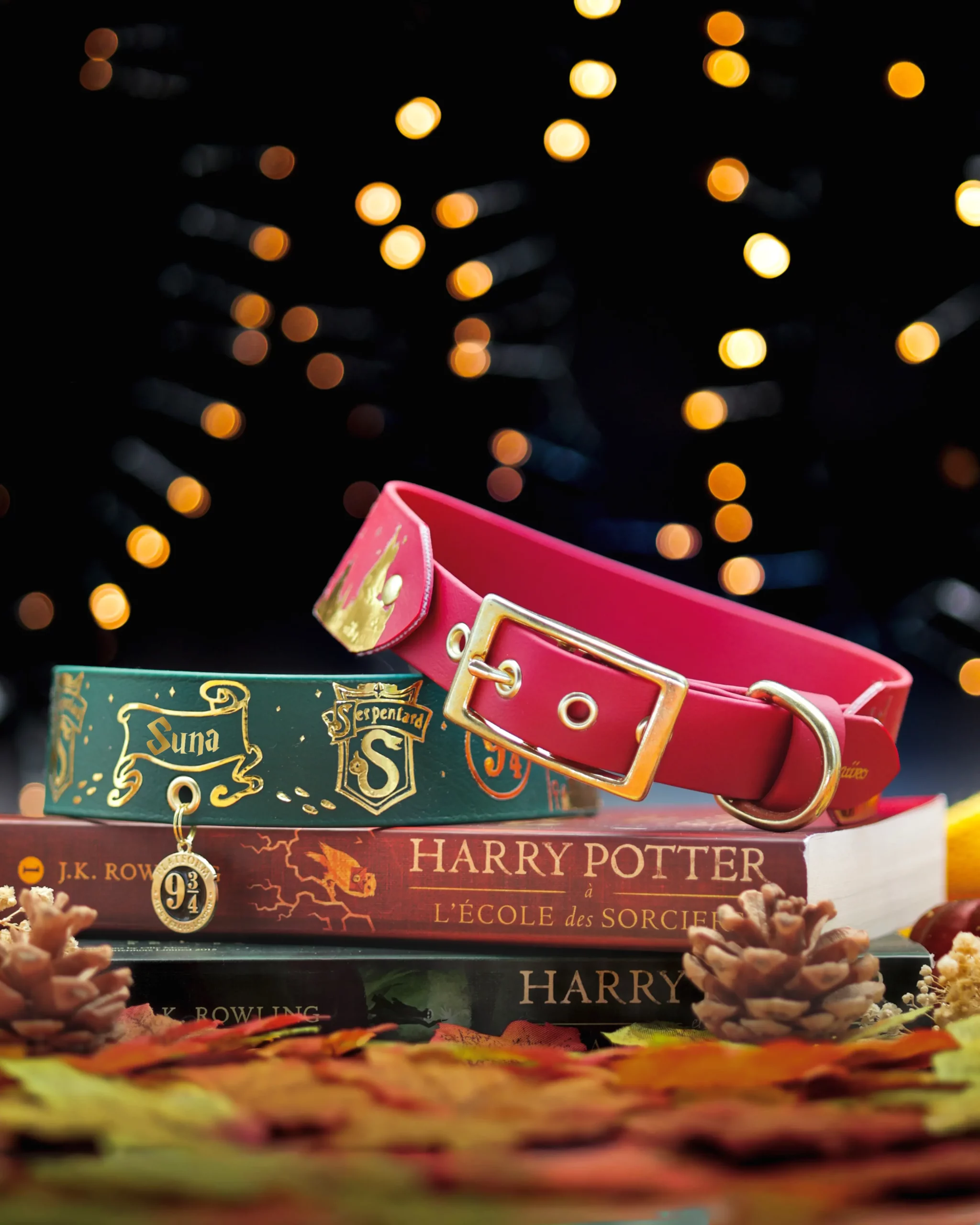 Collier 38mm BioThane® – Harry Potter (Serpentard) Collier 38mm BioThane® - Harry Potter (Serpentard) – Image 5