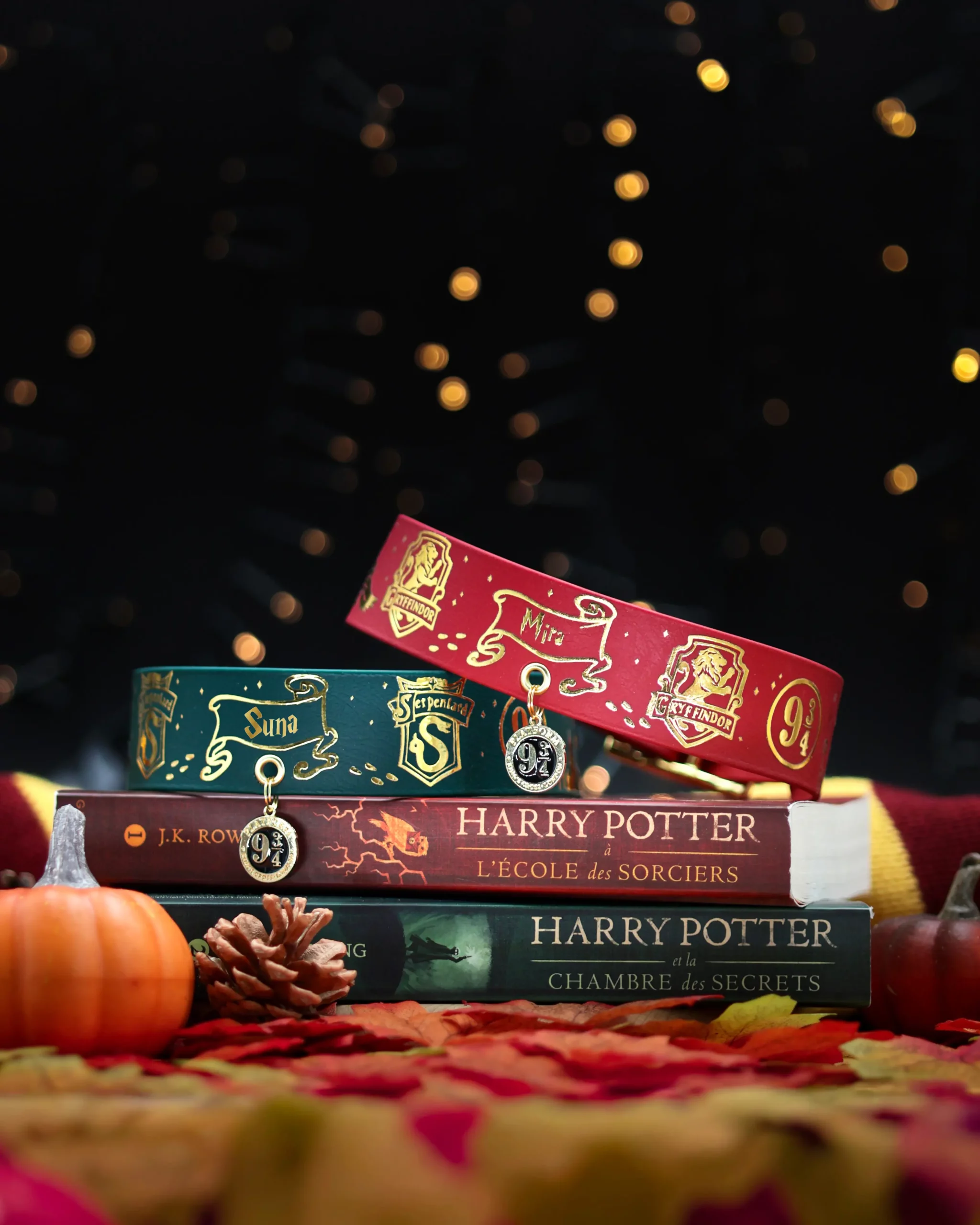 Collier 38mm BioThane® – Harry Potter (Serpentard) Collier 38mm BioThane® - Harry Potter (Serpentard) – Image 9