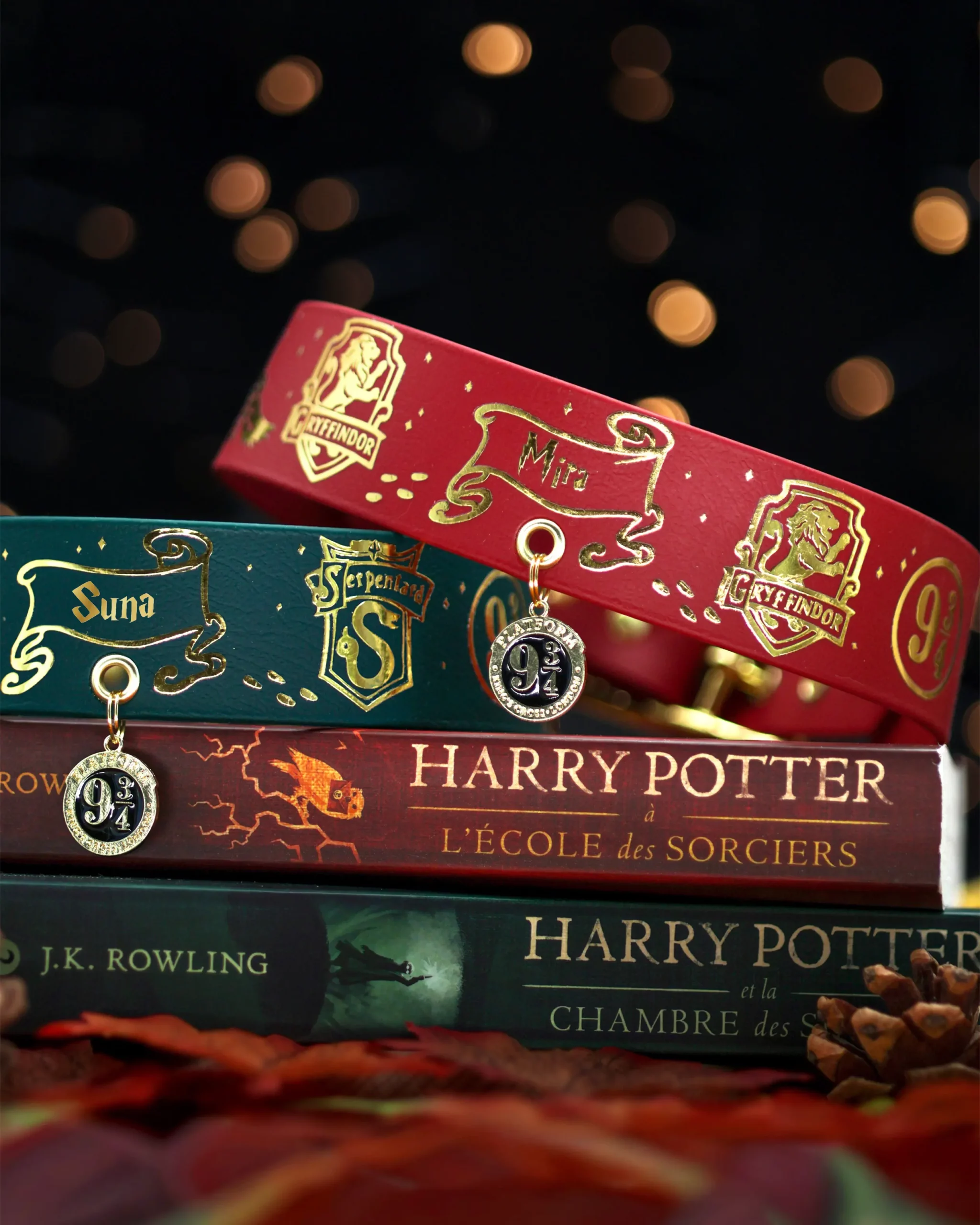 Collier 38mm BioThane® – Harry Potter (Serpentard) Collier 38mm BioThane® - Harry Potter (Serpentard) – Image 7