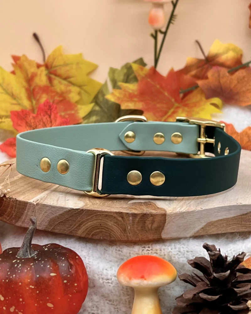 Collier bicolore 25mm BioThane® – Vert sapin & vert sauge, taille M+ (Imparfait) – Image 3