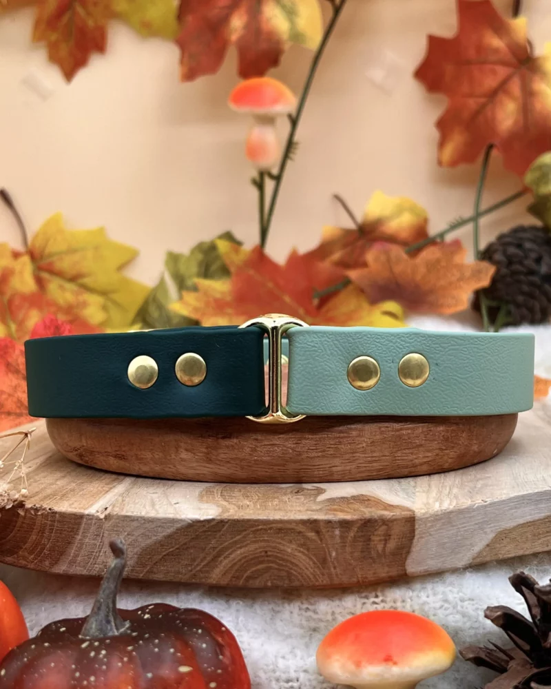 Collier bicolore 25mm BioThane® – Vert sapin & vert sauge, taille M+ (Imparfait)