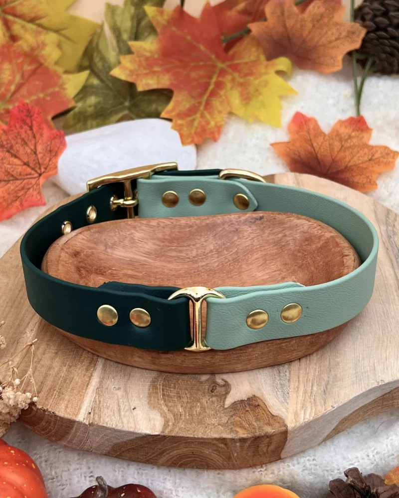 Collier bicolore 25mm BioThane® – Vert sapin & vert sauge, taille M+ (Imparfait) – Image 4