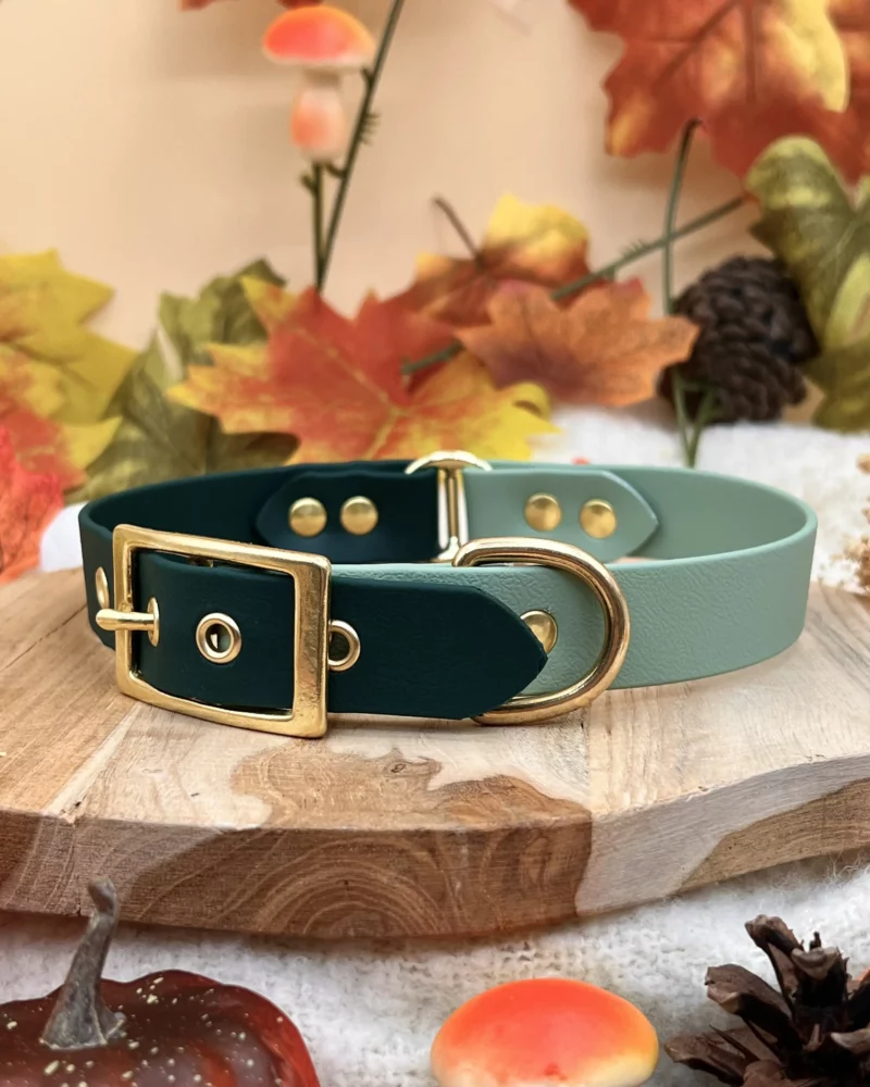 Collier bicolore 25mm BioThane® – Vert sapin & vert sauge, taille M+ (Imparfait) – Image 2