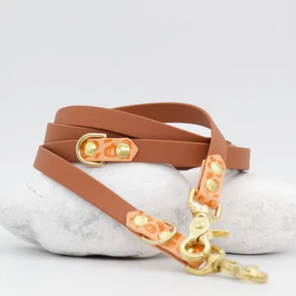 Laisse 3 points bicolore BioThane® - Aki no mori