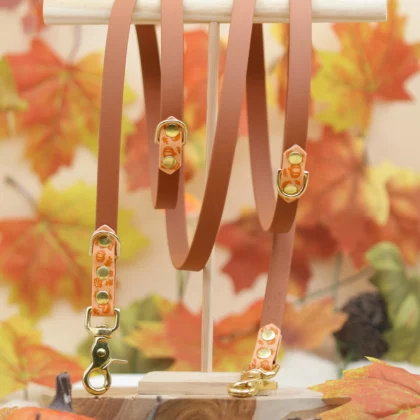 Laisse 3 points bicolore BioThane® – Aki no mori