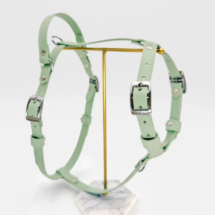 Harnais 16mm PVC - à personnaliser 🎨