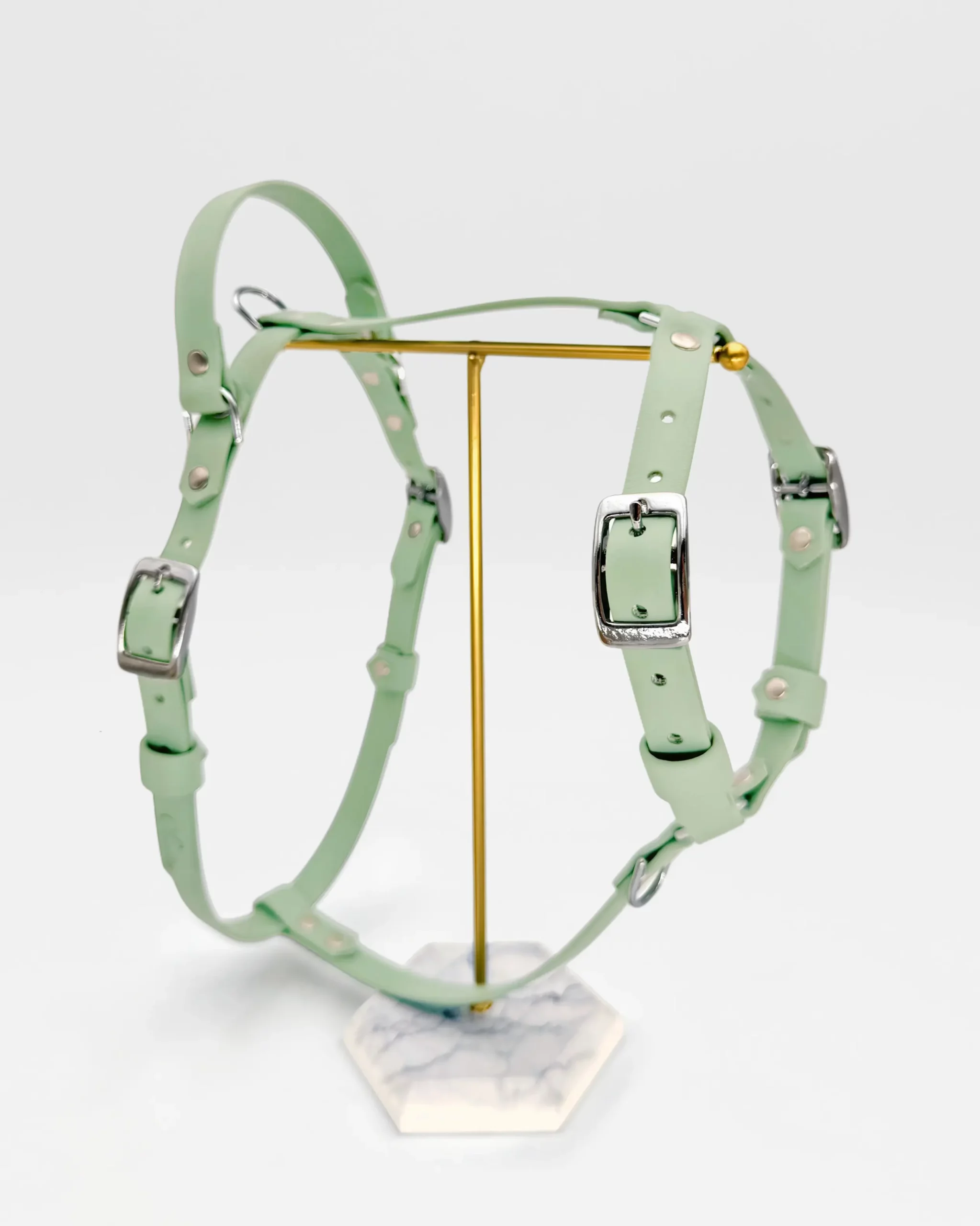 Collier poignée rétractable 25mm PVC – à personnaliser 🎨