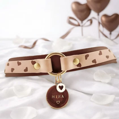 Collier double avec anneau 25mm BioThane® – Kokoro