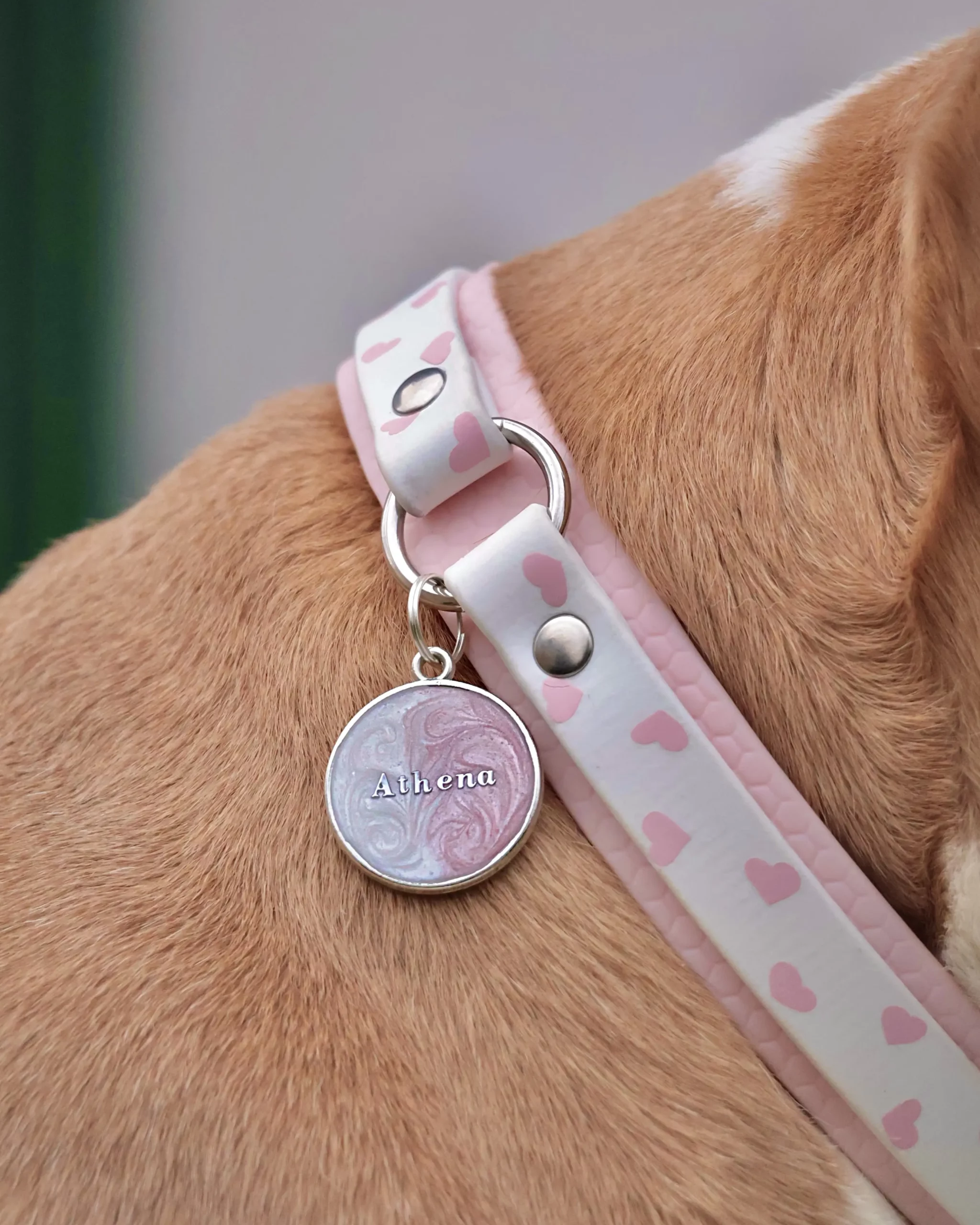 Collier double avec anneau 25mm PVC | Biothane® – Kokoro Collier double avec anneau 25mm PVC | Biothane® – Kokoro – Image 3